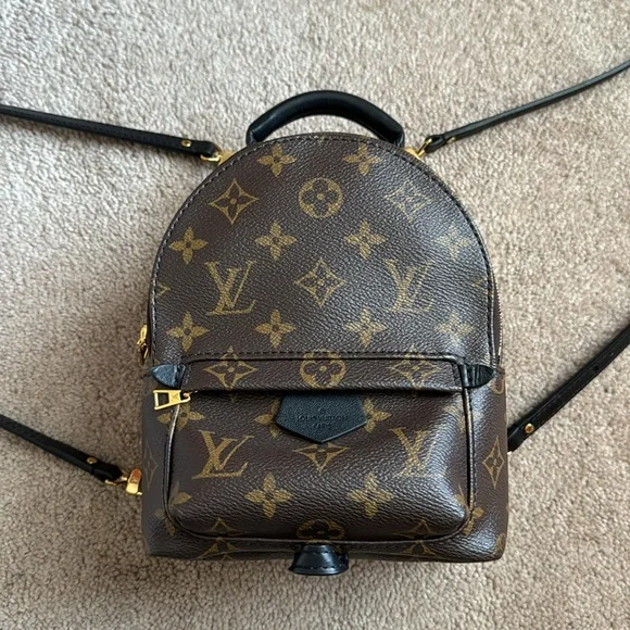 AUTHENTIC Louis Vuitton Palm Springs Mini - Picture 9 of 15